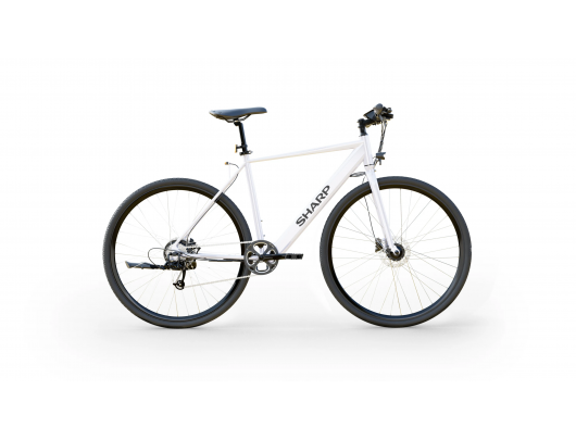 Elektrinis dviratis Hybrid E-Bike | 250 W | 21" | White Glossy
