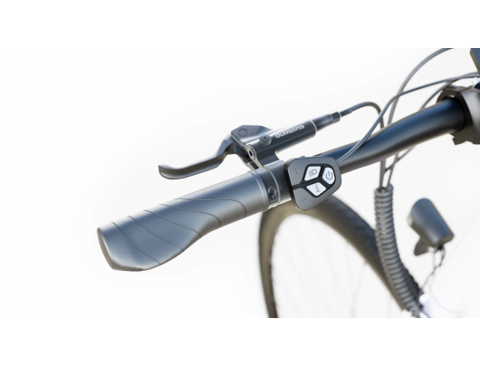 Elektrinis dviratis Hybrid E-Bike | 250 W | 21" | White Glossy