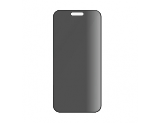 Apsauginis stiklas PanzerGlass Apple iPhone 16 Juoda Skaidri