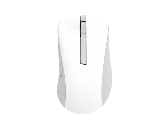 Pelė Asus MD102 2.4 GHz Bluetooth Balta