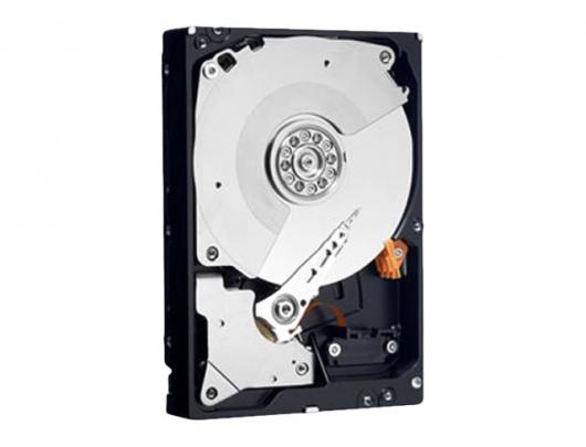 Kietasis diskas Dell Dell HDD 3.5" 12TB 7.2k SAS 12Gb 512e Hot-plug 15G