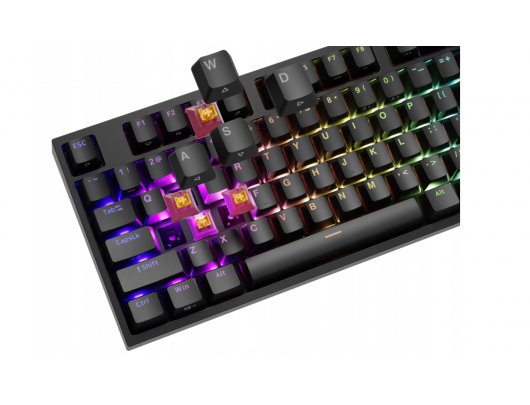 Klaviatūra GENESIS THOR 404 RGB, mechaninė, Outemu Peach Silent, juoda