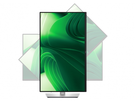 Monitorius Dell P2425D, 24 colių, IPS, QHD 2560x1440 100 Hz, 350 cd/m², HDMI, DisplayPort, 15 vatų, aukščio reguliavimas, pasukimas, pasvirimas