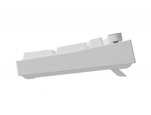 Klaviatūra Genesis Thor 404, mechaninė, laidinė, US, USB, Gateron Yellow Pro, balta