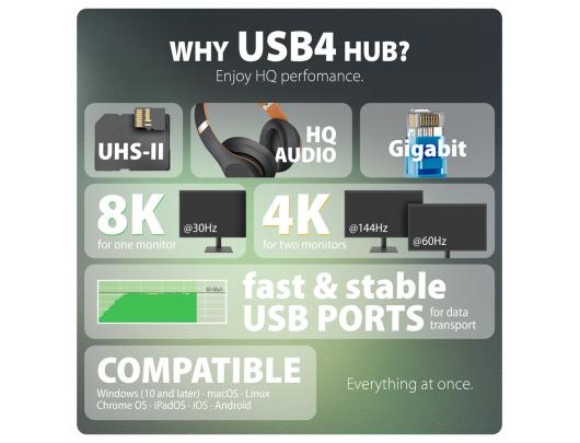 Jungčių stotelė AXAGON USB4 40Gbps DUAL 4K DISPLAY 12in1, juodas